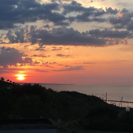 Agriturismo Sila Termoli Exteriör bild